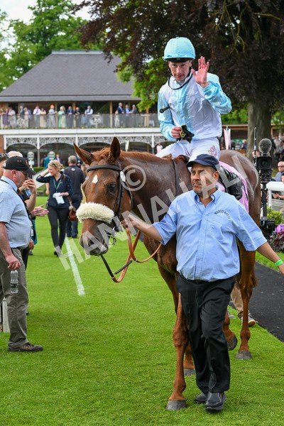 170524-Race 4-Giavellotto-8217 - Race 4 3.45pm Boodles Yorkshire Cup Stakes