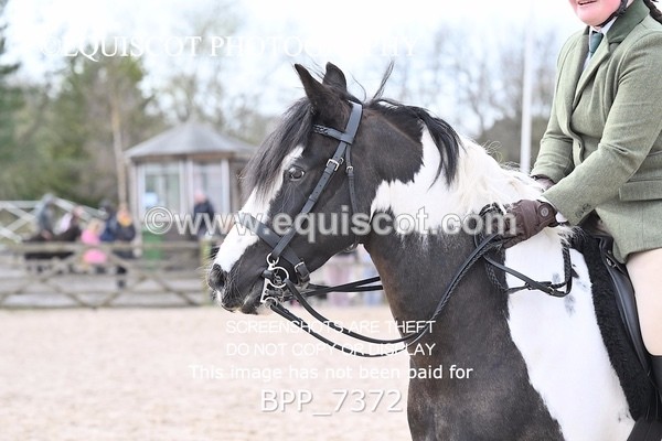 BPP_7372 - RING 1  (RIDDEN HORSES / IN HAND / VETERAN ETC)