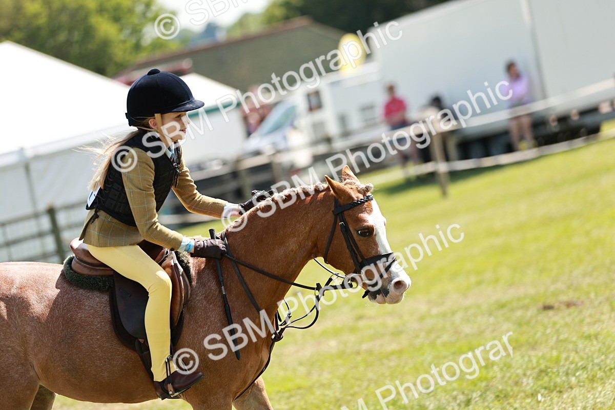 SBM_13594 - Class 108-109 - BSPS LIHS Open Gradle & Nursery Stakes