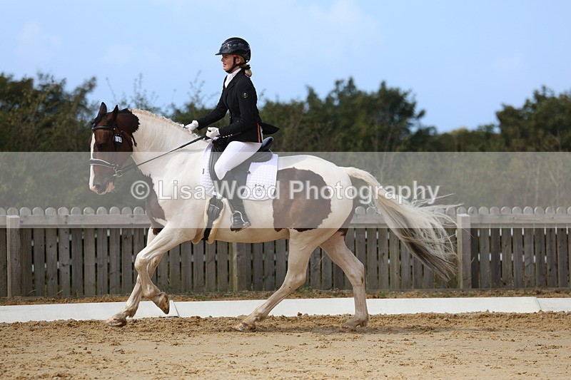 3E7A4151 - Class 9: Novice 6 Section B Championship