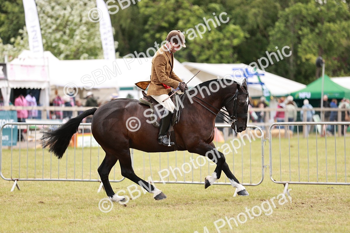 SBM_14110 - Class 85-87 - RIHS Cobs