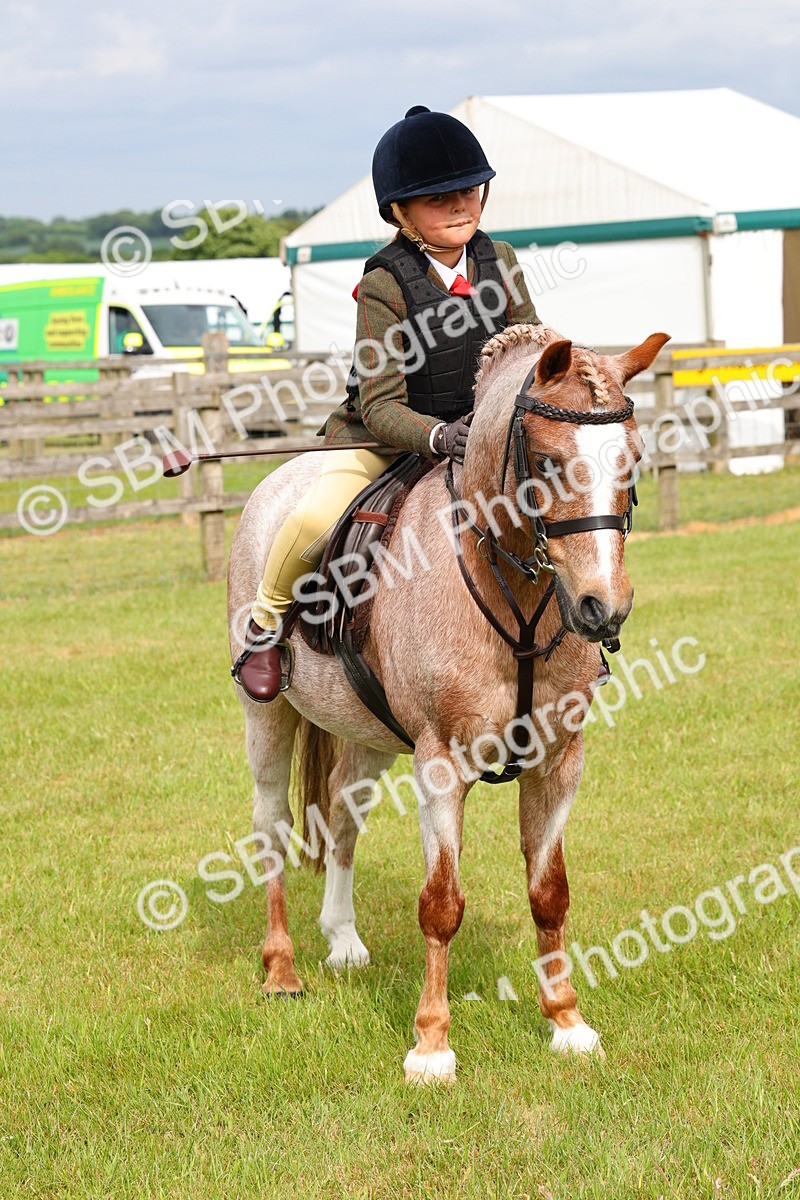 SBM_09673 - Class 44-45 - LIHS BSPS Open Nursery and Cradle Stakes