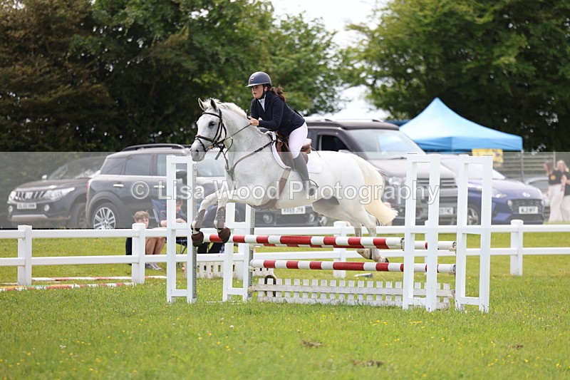 3E7A1529 - Class 13: Senior British Novice/90cm open
