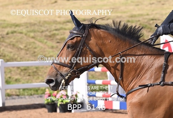 BPP_6146 - CLASS 11 THURS GFS Saddles Senior Newcomers/1.10m Open