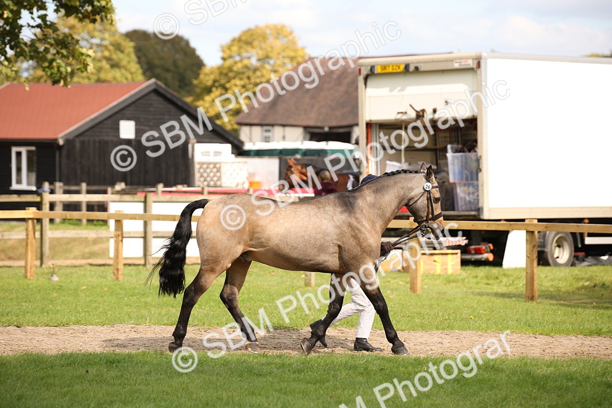 SBM_46318 - S25 - Mature Veteran In Hand