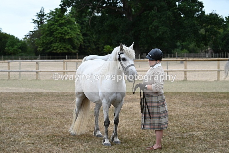 WJ7_9177 - Class 4a Prettiest Mare 14.2hh and over