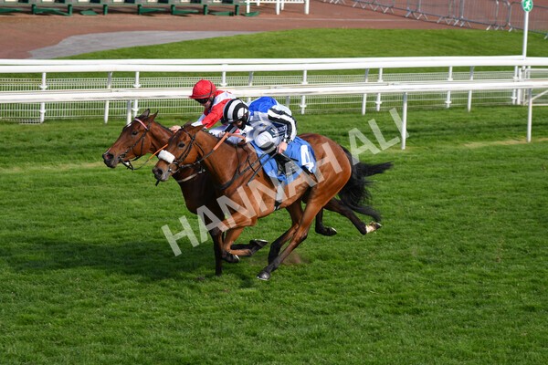yr13052021r7-24 - Race 7 4.50pm Autohorn Stakes