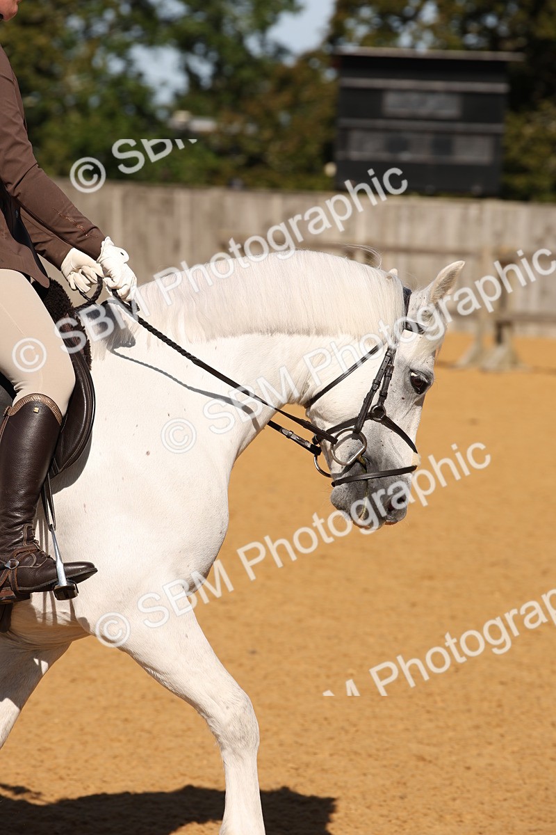 SBM_18480 - D31 - Grand Tour - PYO Open