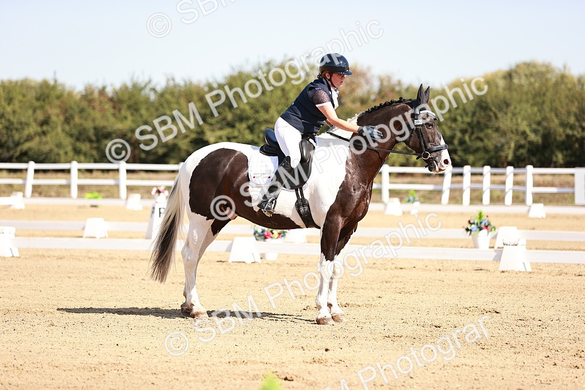 SBM_004337 - Class 12 - Novice 5 - 10.31-11.41
