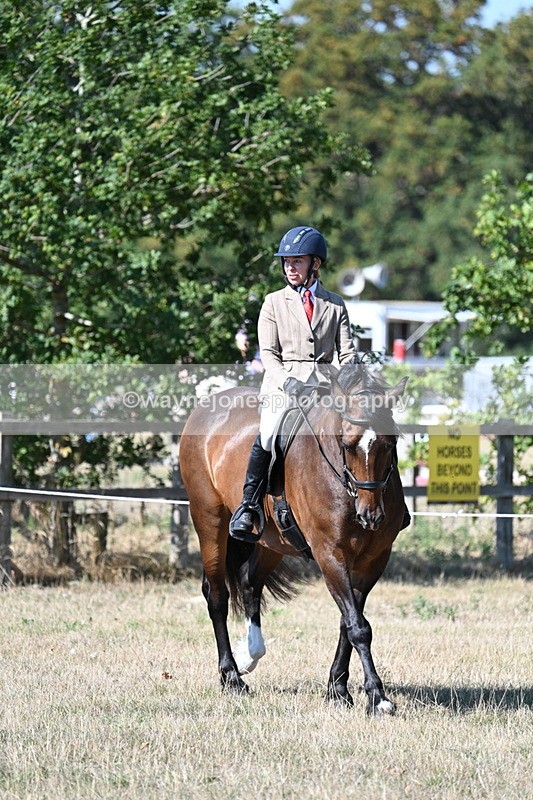 WJ7_3566 - Class 9 Mountain & Moorland Ridden