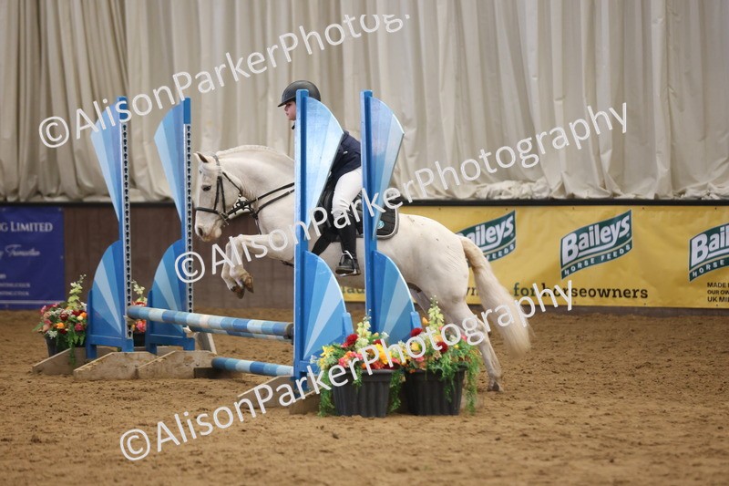 20260314-1006 - 60cm