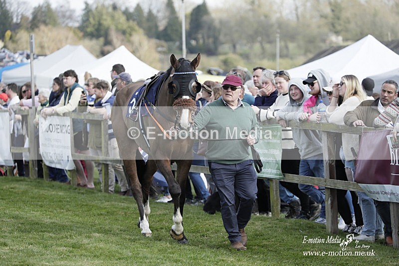 PtP 080423 472 - Dingley Races The Woodland Pytchley Hunt PtP 08/04/23