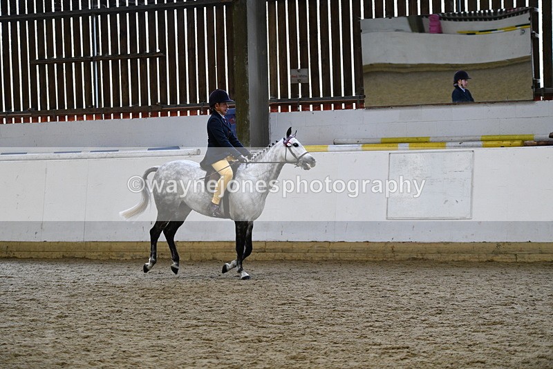 WJ5_7750 - Class 13 Ridden Part Breed