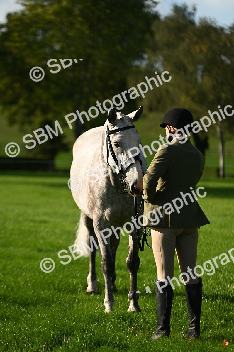 SBM_14730 - S1 - TSR in Hand Horse & Pony Showing