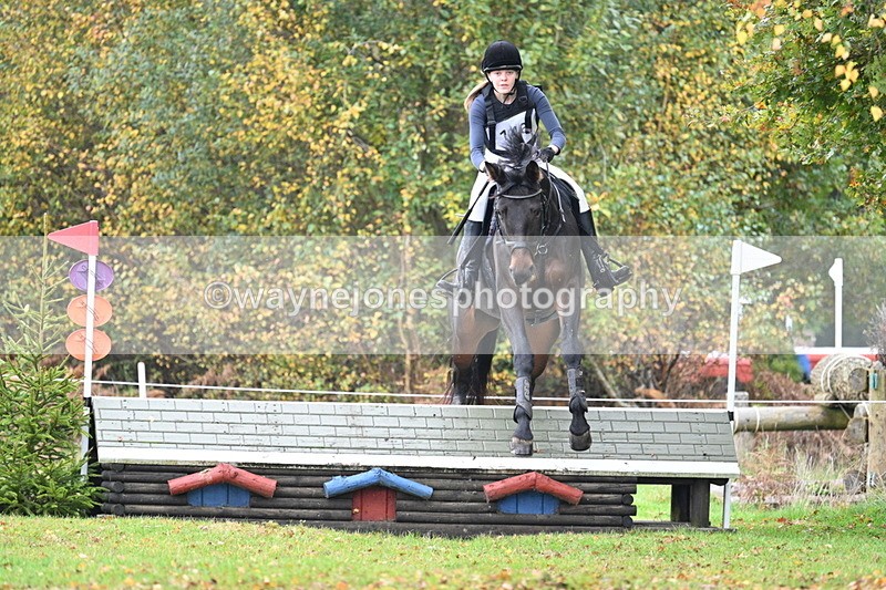 WJ7_1151 - 80cm Cam 2 Water Time 11:29 to 11:46