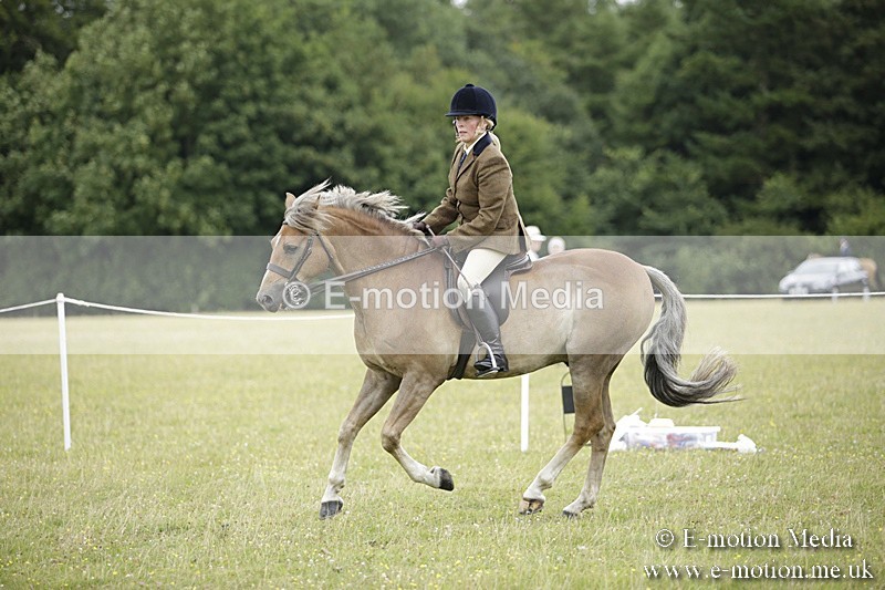 BVR160717-1305 - Ring 1 BVRC Show 16/07/17