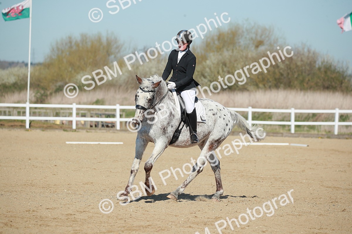 SJ3_0313 - Class 2 - P5