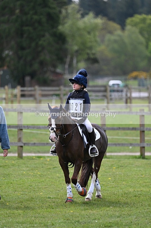 WJ7_5325 - 60cm Time 10:32 to 10:55