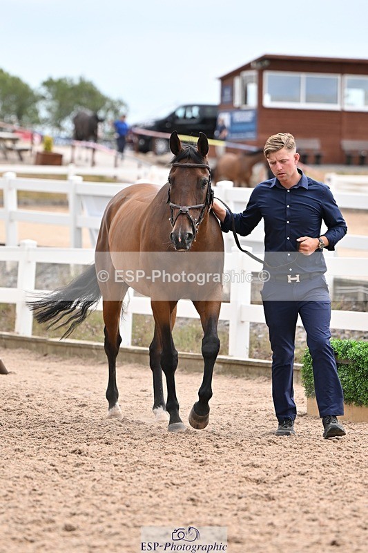 250716-145235-01468 - Trot Up 2.30 to 3.30