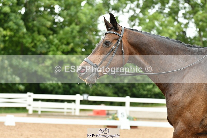 230630A-114601-01697 - Cls 7 Elementary 45