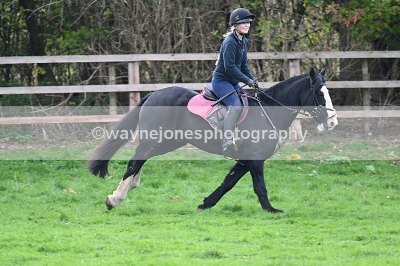 WJ7_0894 - Time 14:27 to 15:11