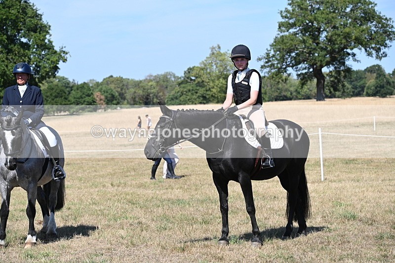 WJ6_9015 - Class 38 Ridden Riding Horse/Pony