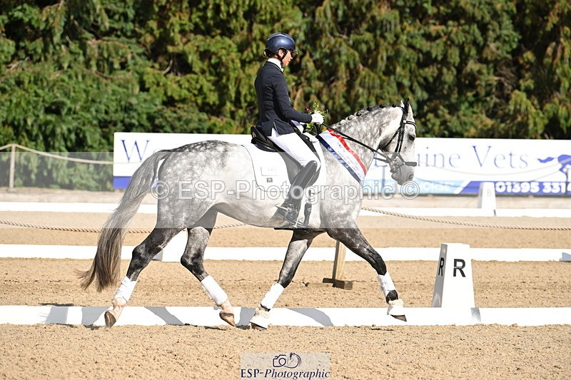 250808A-170044-02188 - Novice GOLD Presentations