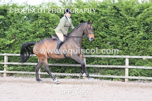 BPP_6962 - RING 1  (RIDDEN HORSES / IN HAND / VETERAN ETC)