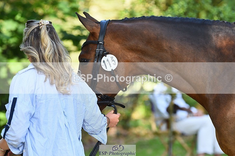 230524-164752-01095 - 115-RNH_ULTIMATE-Harriet_Wright-WEDTrotUp+DR
