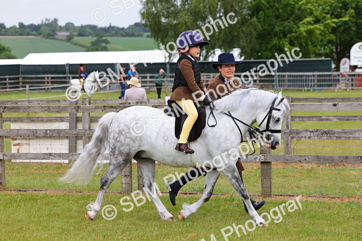 SBM_08097 - Class 42-43 - LIHS BSPS Heritage Working Sports Pony