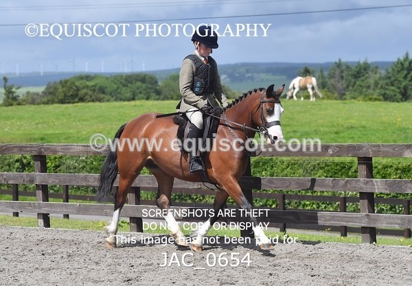 JAC_0654 - CLASS 6 BSPS Scone Palace HT Training Stakes Series (0.80m)