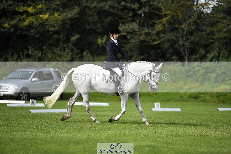 230826-104634-15601 - Sections C & D 10 to End