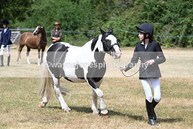 WJ7_1712 - Class 4 Prettiest Mare up to 14.2hh in hand