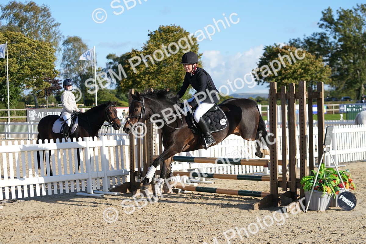 SBM_53638 - J8 - Junior Pony 65cm Championship