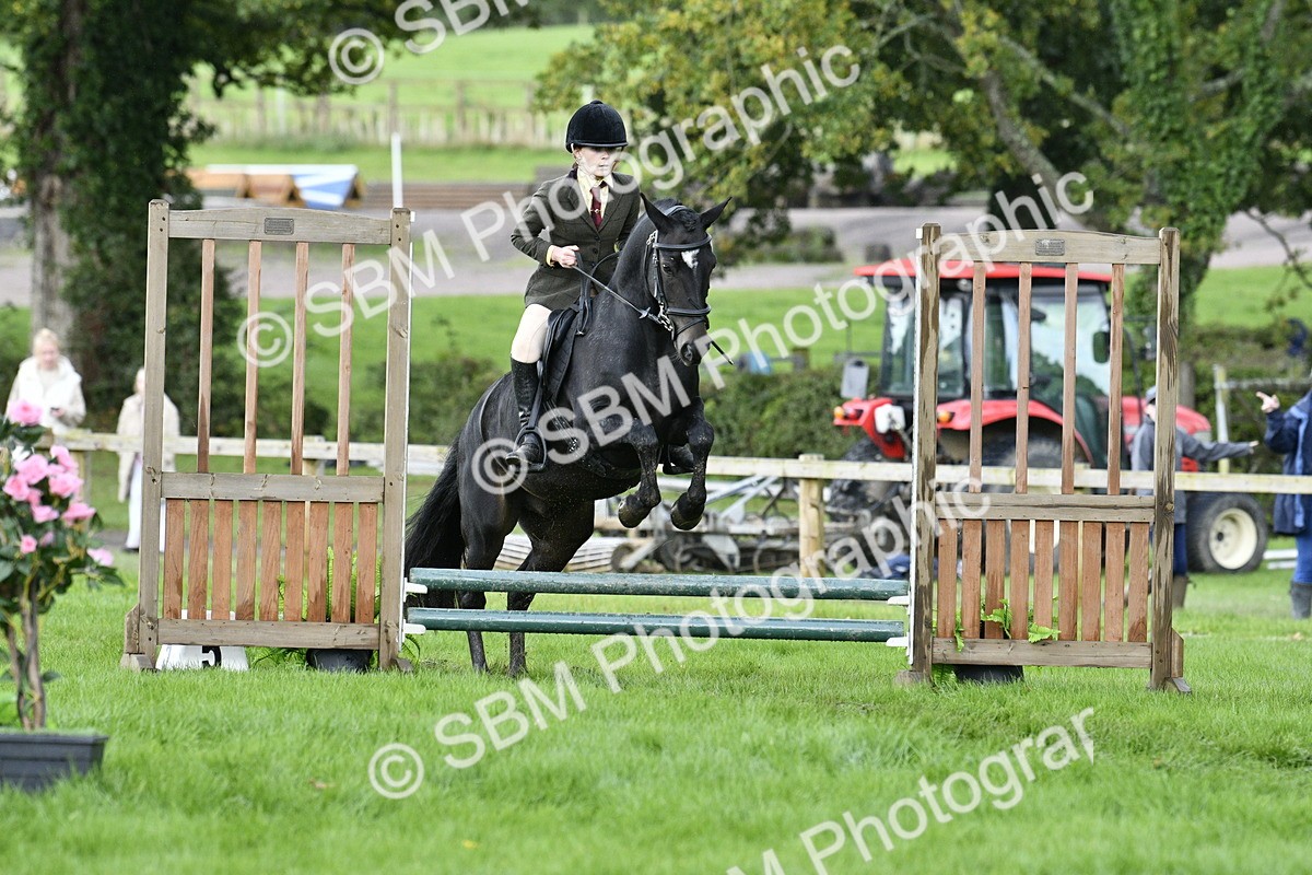 SBM_41506 - S32 - Mountain & Moorland Working Hunter Pony