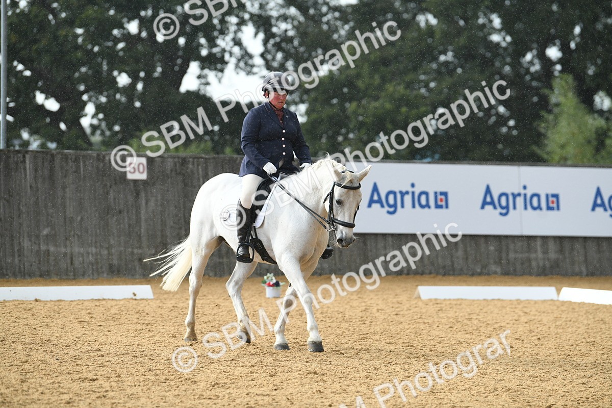 SBM_11139 - D28 Elementary Taster Elementary 42