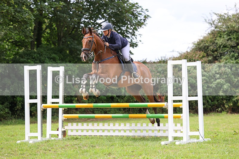 3E7A7318 - Class 5: Senior British Novice/90cm open