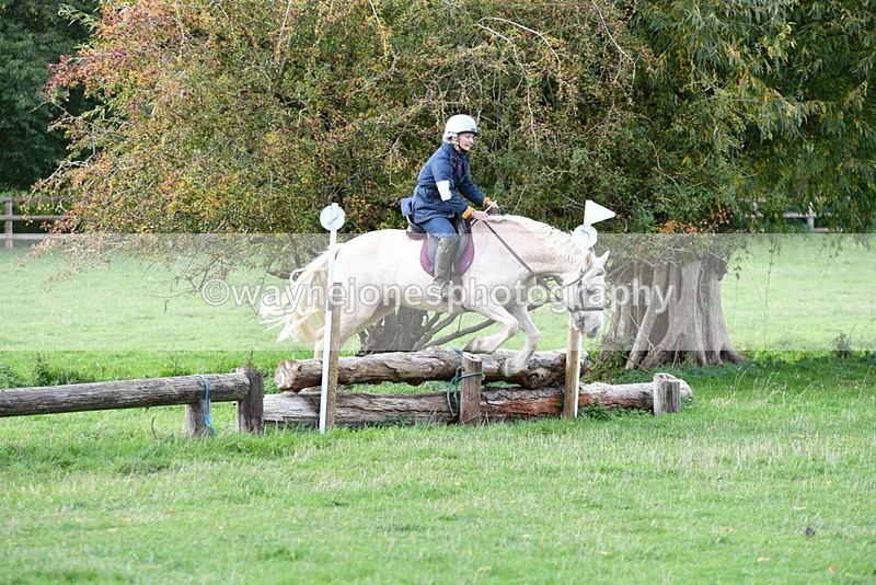 WJ5_0480 - Time 13:59 to 14:28