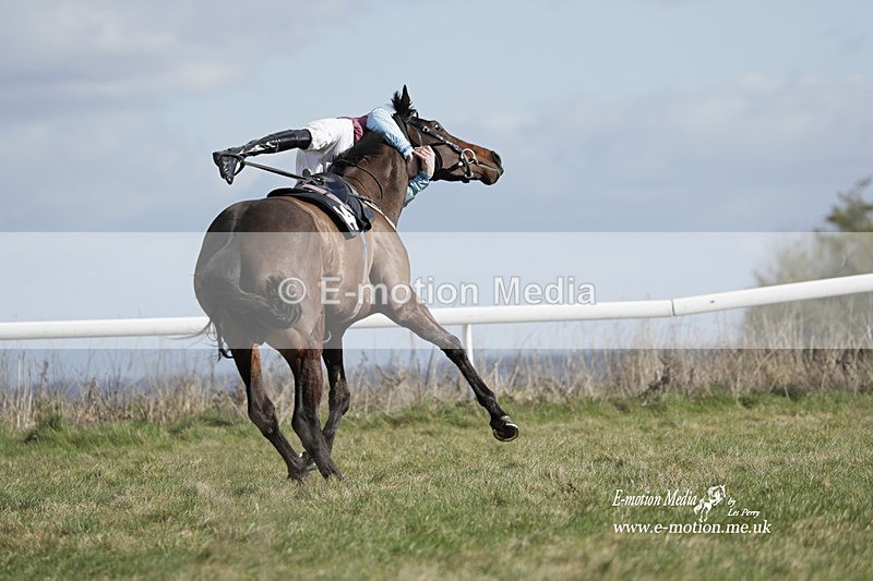 PtP 260223 513 - South & West Wilts Point-to-Point Larkhill 26/02/23