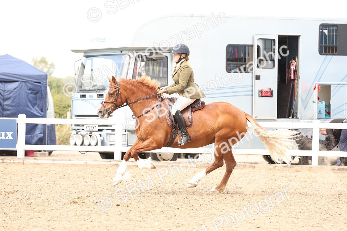 SBM_06796 - Class 58a -  Style & Performance - 70cm (15-19)