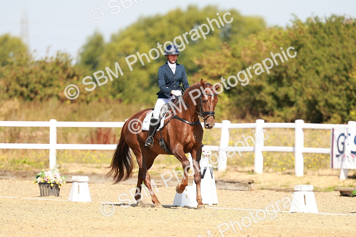 SBM_017518 - Class 9 - N5 Bronze 10.33.11.36