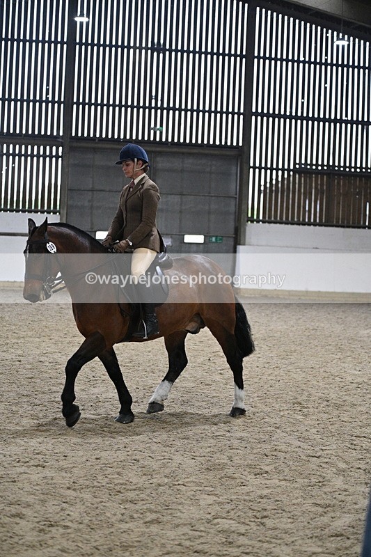 WJ7_3994 - Class 17 Ridden Cob