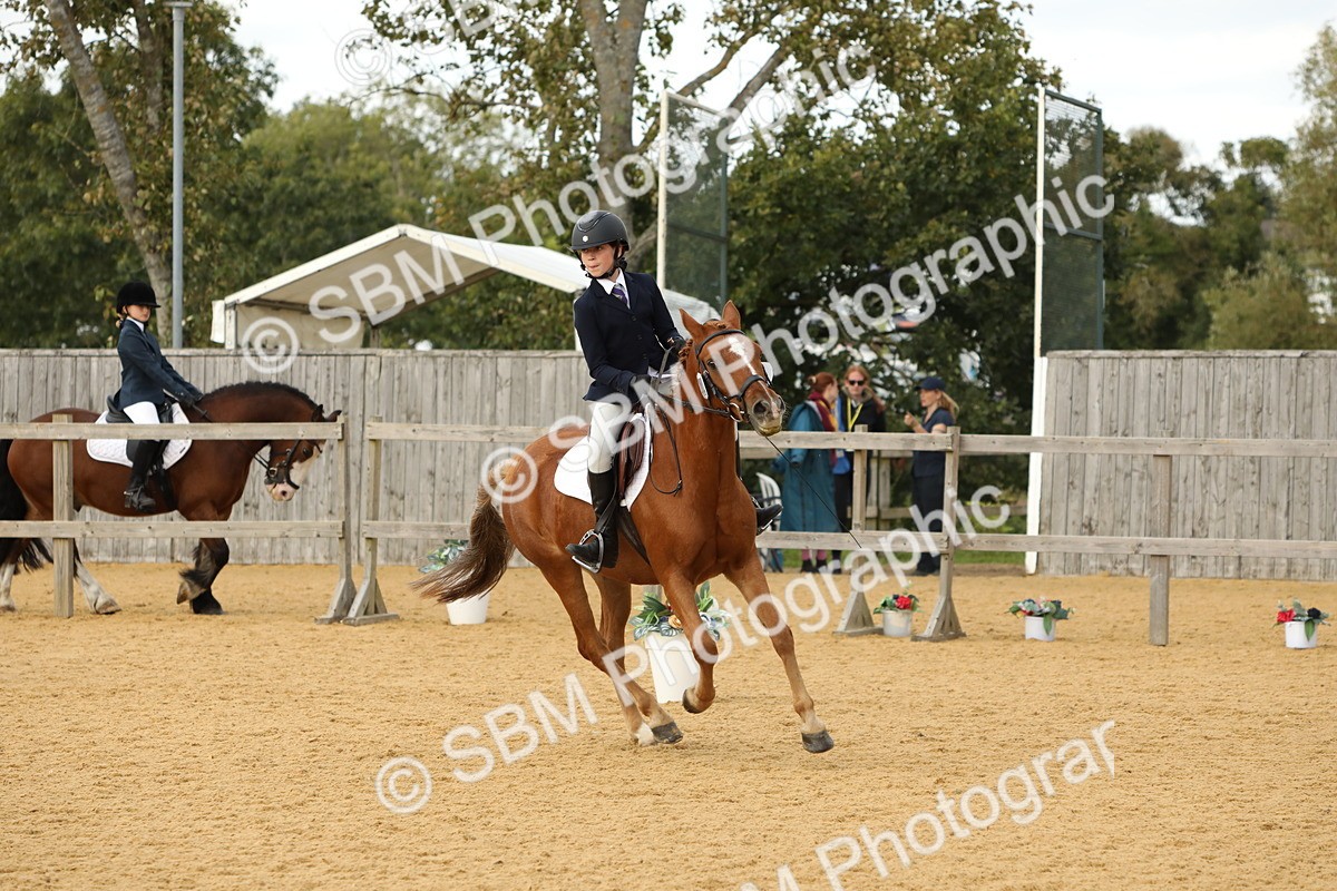 SBM_50811 - D23 - Junior Championship - Prelim 12