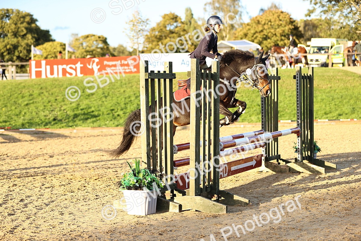 SBM_54348 - Supreme Championship 70cm 75cm