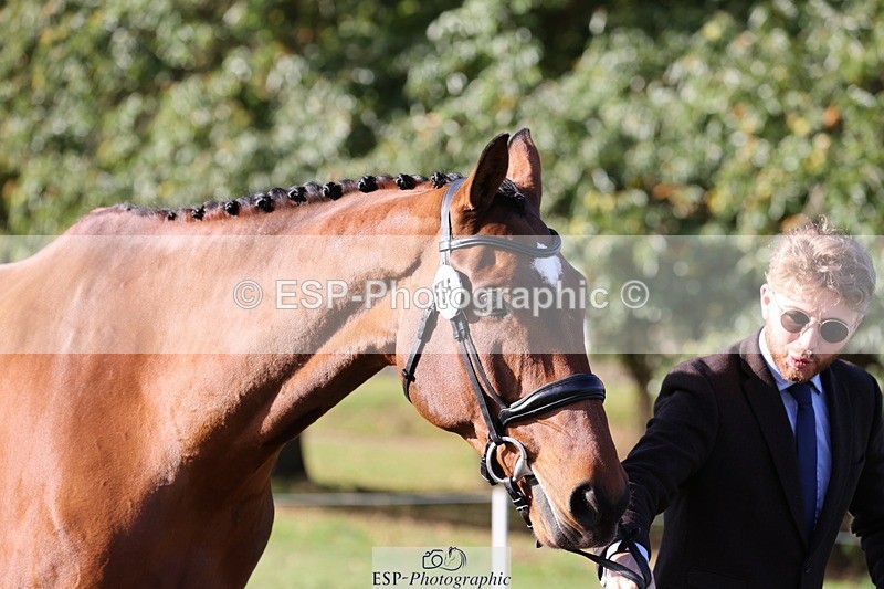 241027-101750-15798 - 555-Kane.Phillips-GURRAUN.CATCH.UP