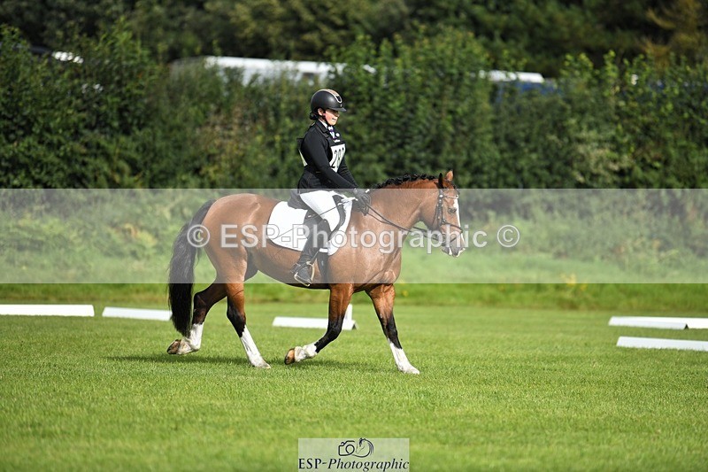 230826-094654-15228 - Sections C & D 9 to 10am