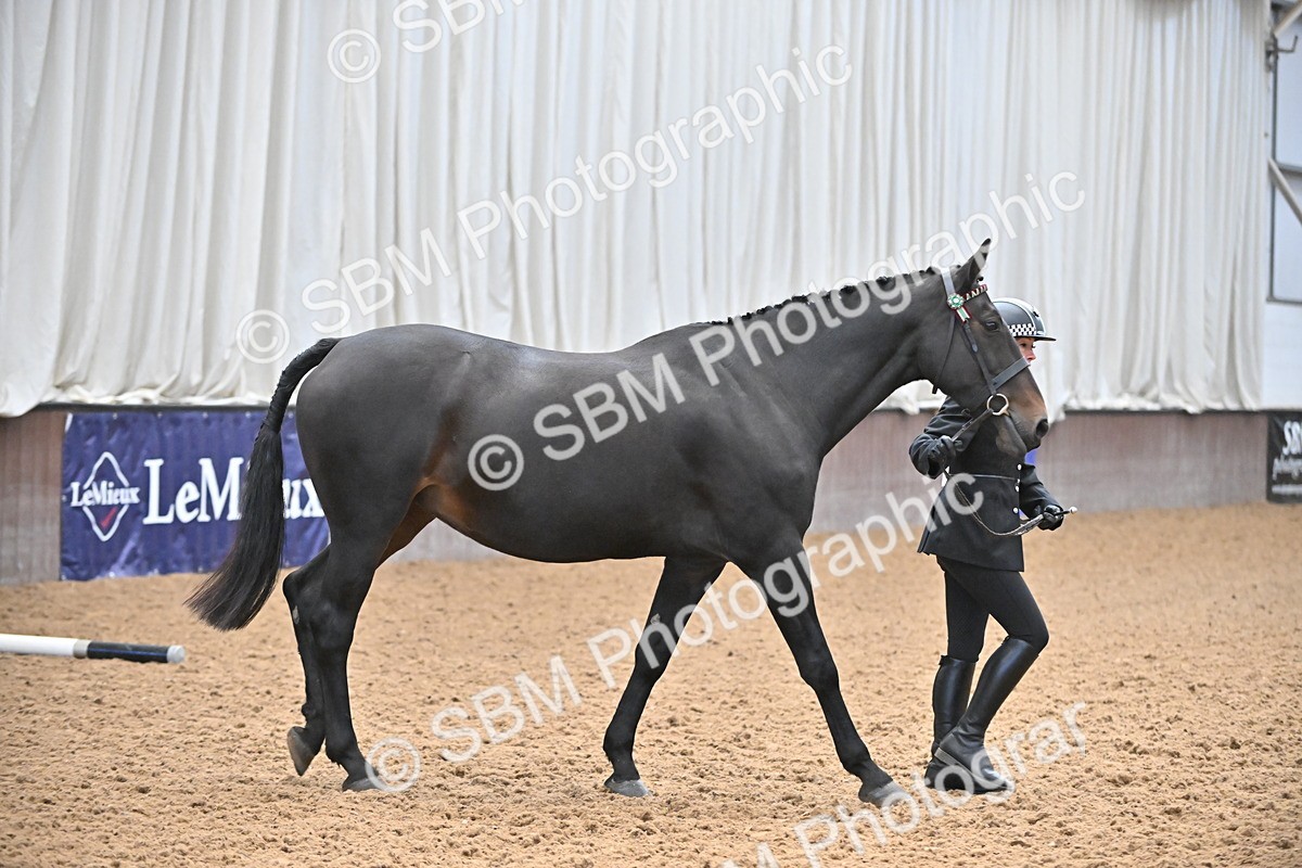 SBM_000066 - Class 4 - BSHA In Hand Show Cob