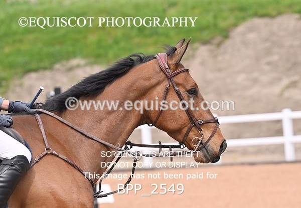 BPP_2549 - CLASS 7 - FRI - Senior Foxhunter/1.20m Open