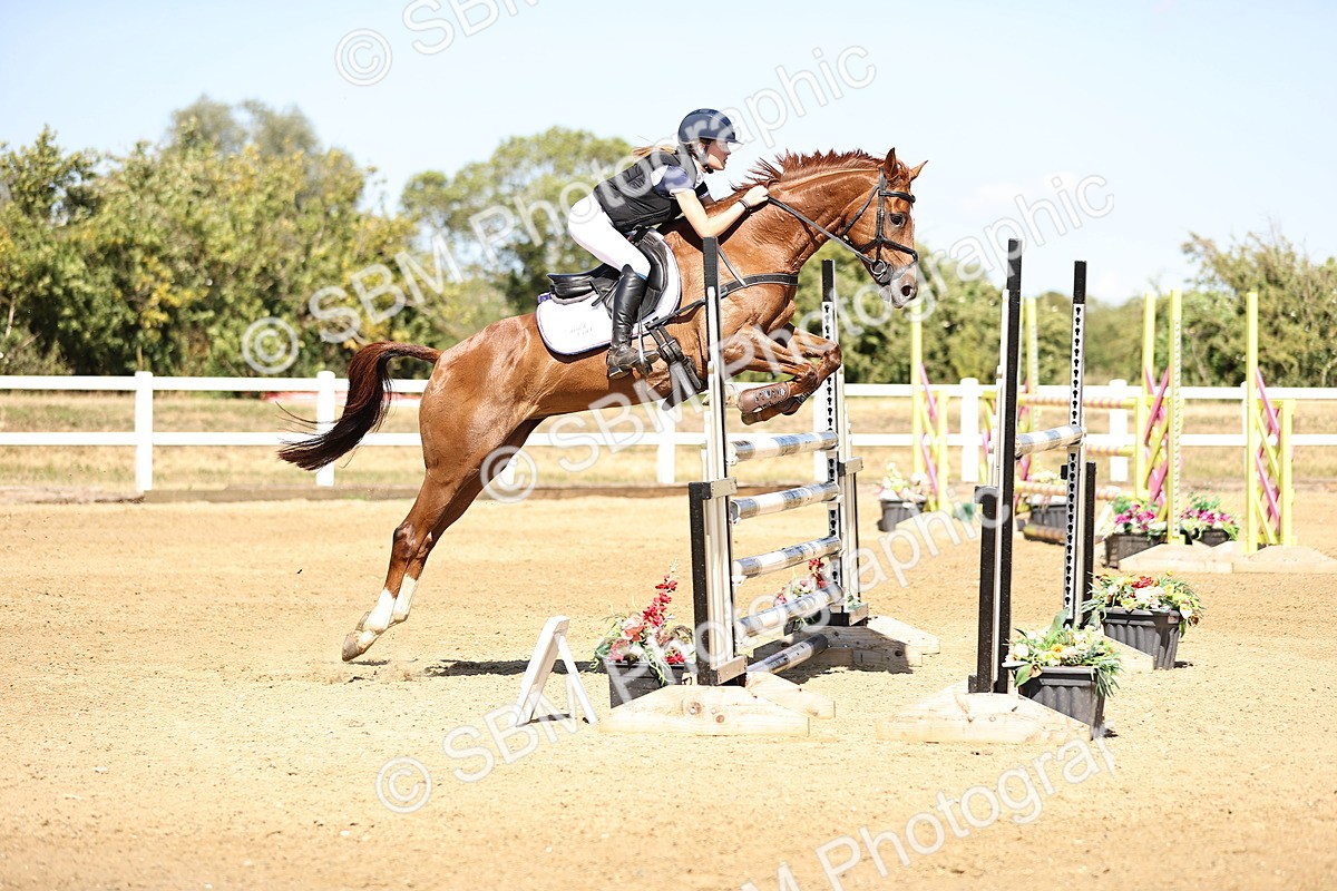 SBM_015248 - Class 16 - Senior foxhunter - 1.20m Open