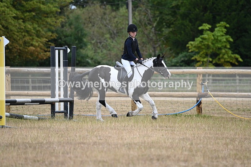 WJ6_0312 - Class 13 Novice Jumping 60cm
